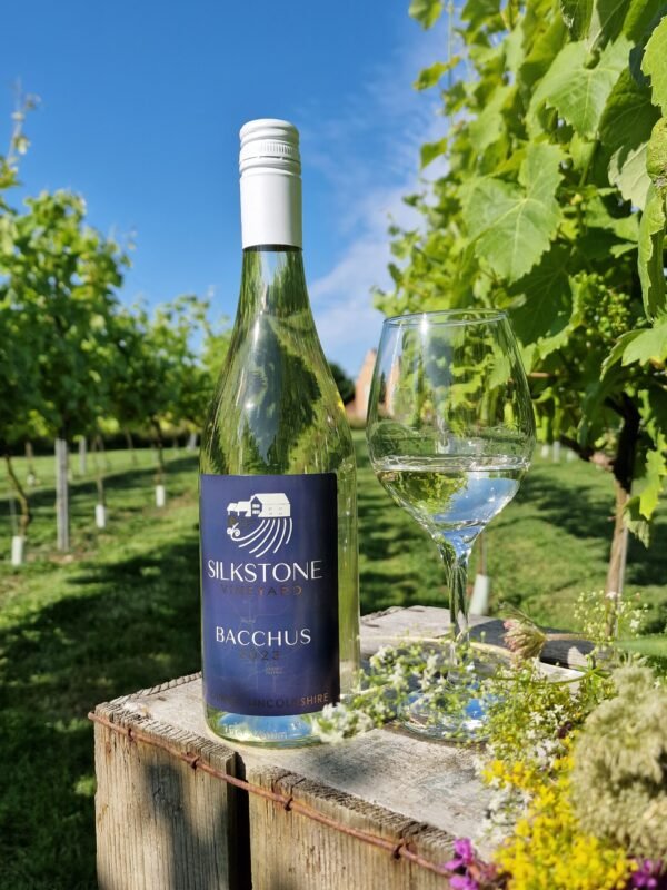 Silkstone Vineyard Bacchus 2023 - Image 2