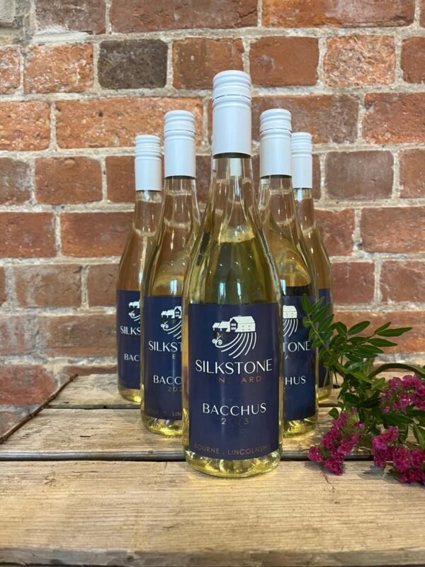 Silkstone Vineyard Bacchus 2023 (BOX)