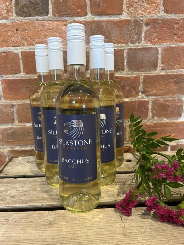 Silkstone Vineyard Bacchus 2024 (BOX)